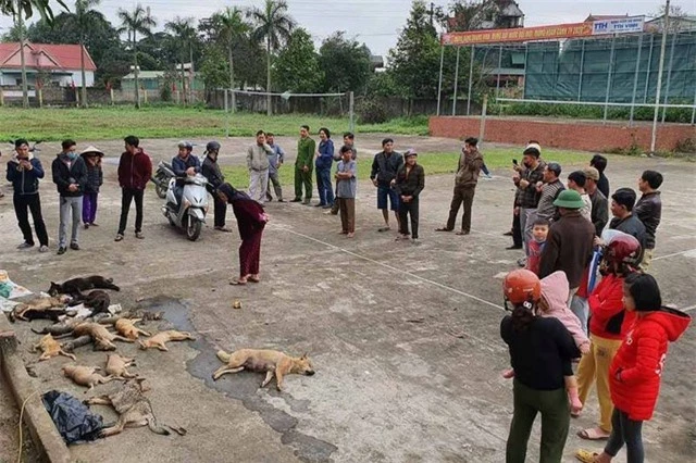 1 đêm đánh bả, 2 anh em ruột trộm gần chục con chó, mèo - 3