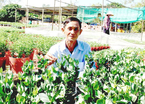 Làm giàu từ nghề trồng hoa