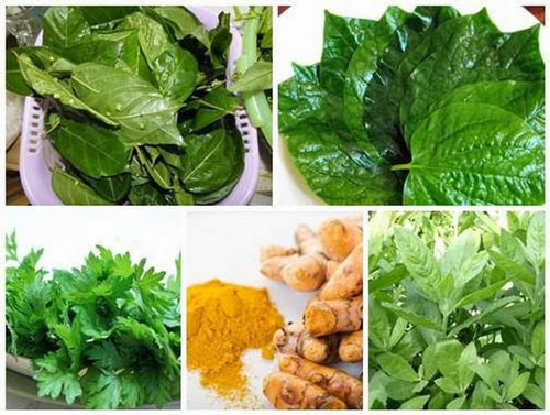 Điều trị dứt điểm trĩ nhờ bào thuốc dân gian cực kì đơn giản