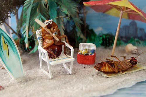 'Giật mình' những bảo tàng kỳ dị nhất thế giới