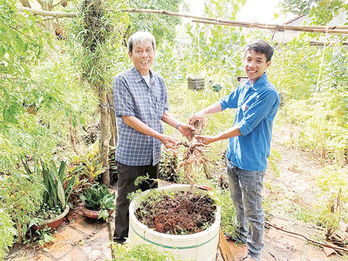 Đồng Tháp: Thanh niên kiếm hàng trăm triệu từ điêu khắc củ đinh lăng