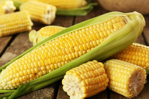 Thường xuyên ăn món này cả đời không phải lo máu nhiễm mỡ