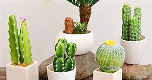 Phạm phải 5 lỗi phong thủy này tiền tài tự "đội nón ra đi", làm mãi cũng không khấm khá