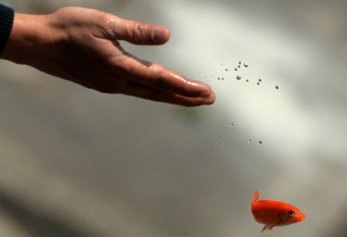 Phật dạy: Muốn tiêu trừ nghiệp chướng chỉ cần làm 4 việc sau, việc đầu tiên tuyệt đối không được cẩu thả