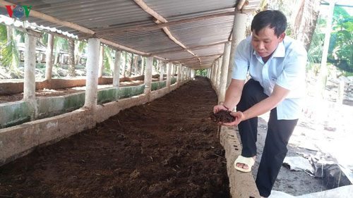 Tiền Giang: Thanh niên khởi nghiệp làm giàu từ nuôi trùn quế