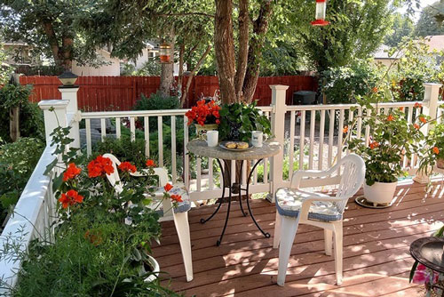 70 tuổi, bố chồng tôi đòi cưới bạn thân của con dâu