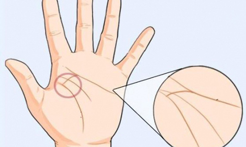 Sở hữu đường chỉ tay này, bạn là "con cháu Thần Tài", nhất định có công danh rực rỡ