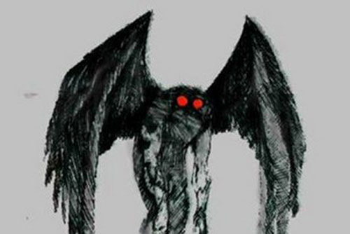 'Kinh hãi' trước người cú khiến ai nhìn vào là bị hóa đá