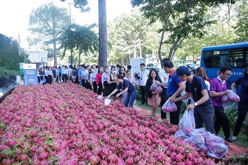 TTC thu mua nông sản giúp nông dân bị ảnh hưởng bởi Covid-19
