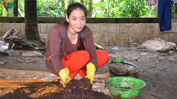 thanh niên khởi nghiệp làm giàu từ nuôi trùn quế hình 2 thanh nien khoi nghiep lam giau tu nuoi trun que hinh 2