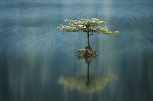 Chiêm ngưỡng bộ ảnh “panorama” đẹp mê ly của nhiếp ảnh gia các nước