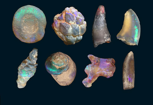 Những nơi trên thế giới đào đâu cũng thấy "quái vật"