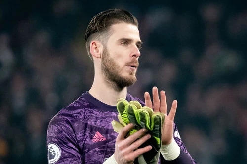 Thủ môn: David De Gea (M.U).