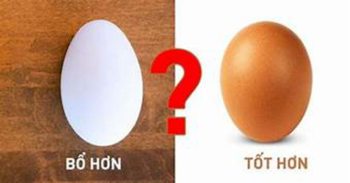 Cho trẻ ăn trứng gà, trứng vịt hay trứng cút: Đâu là thực phẩm tốt nhất cho trẻ thông minh- cao lớn?