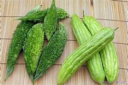 Mỗi ngày ăn một trái này, “thuốc đắng dã tật” tốt như nhân sâm