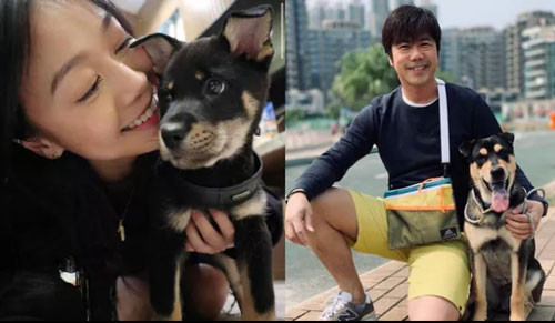 Á hậu Hong Kong 2012 phủ nhận có tình yêu mới