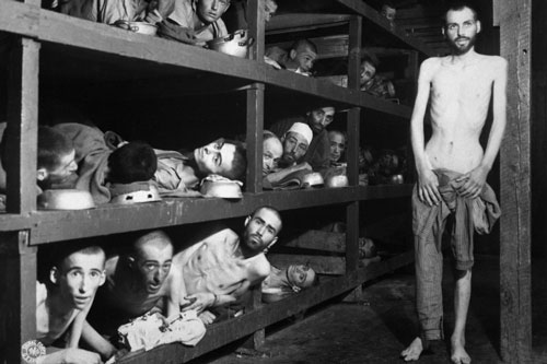 Top 10 vụ 'diệt chủng' lớn nhất trong lịch sử loài người