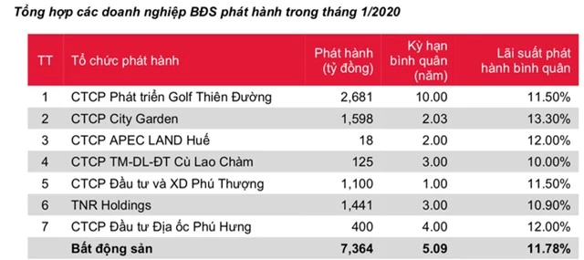 Doanh nghiệp bất động sản đi vay hàng nghìn tỷ đồng trong tháng đầu năm - 2