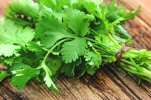 Không muốn rước bệnh vào người những người bị bệnh sau tuyệt đối không ăn rau mùi