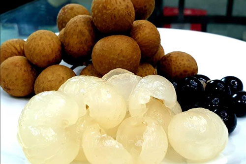 Bị những bệnh này đừng phí tiền mua thuốc tây lấy ngay quả nhãn nhanh khỏi hơn lại an toàn và rẻ tiền