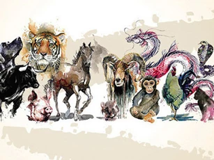 Làm những điều này, 12 con giáp sẽ đổi vận, tránh được đại hạn trong năm 2020