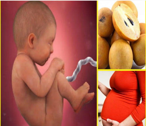 Bà bầu ăn 1 quả hồng xiêm mỗi ngày, vừa chắc xương lại đẹp da, thai nhi "reo mừng"