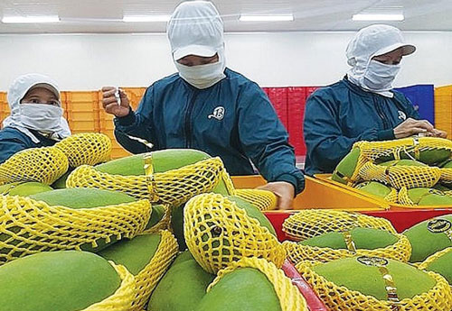 Đồng Tháp: Tìm đường xuất khẩu nông sản