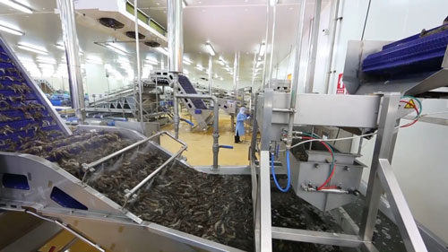 Bạc Liêu: Xuất khẩu tăng so với cùng kỳ, chủ yếu là mặt hàng thủy sản