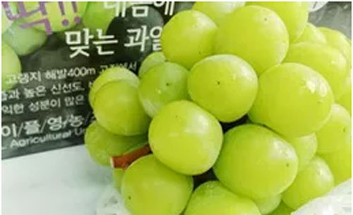 Việt Nam trở thành thị trường nhập khẩu nho lớn nhất của Hàn Quốc