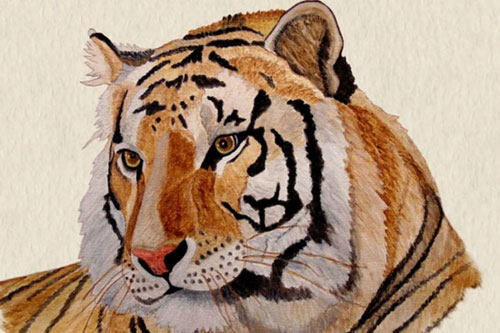 Trong vòng 3 năm tới, 4 con giáp sau có sự nghiệp phát triển đột phá, công thành danh toại