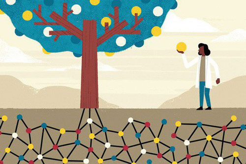 Gửi phụ nữ tuổi 30: Nếu muốn hậu vận thuận buồm xuôi gió, nhất định phải kết giao với 2 vị quý nhân sau