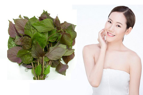 Các chị em mê mệt với cách trị nám tàn nhang chỉ với một bó lá tía tô