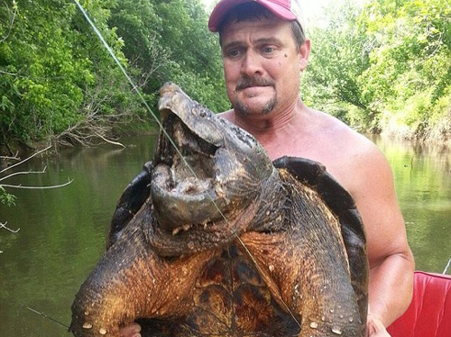 Bắt được “thủy quái” rùa cá sấu khủng cực quý hiếm