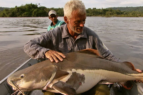 Cần thủ Anh tóm gọn cá hồng vĩ mỏ vịt khổng lồ