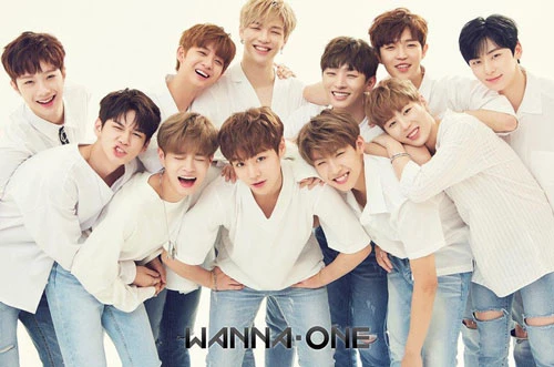 Bởi vậy, WANNA ONE nhanh chóng trở thành một trong những nhóm nhạc nam hàng đầu xứ Hàn. Tuy nhóm đang ở giai đoạn đỉnh cao sự nghiệp, song họ vẫn phải tan rã khi hợp đồng kết thúc. Họ đã chính thức nói lời tạm biệt với người hâm mộ tại buổi hòa nhạc cuối cùng đầy nước mắt vào ngày 27/1/2019.