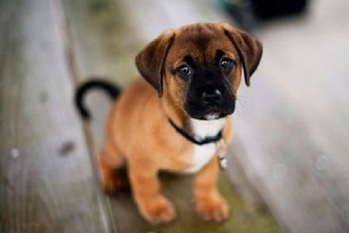 Nếu trong nhà có những dấu hiệu này chắc chắn bạn sắp giàu to, đếm tiền mỏi tay