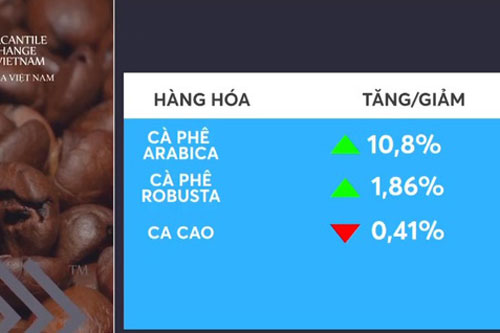 Giá cà phê tăng đột biến