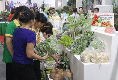 HTX gồng mình vượt khó trước đại dịch