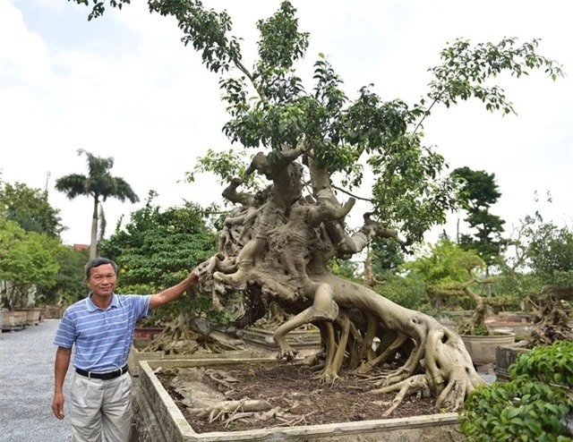 Đại gia xếp hàng, ôm tiền tỷ chờ mua cây sanh Thánh Gióng cưỡi ngựa - 2