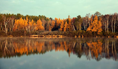 3 câu "thần chú" dù là ai cũng nên mang theo như vật bất li thân: Đọc câu nào cũng thấy chí lý