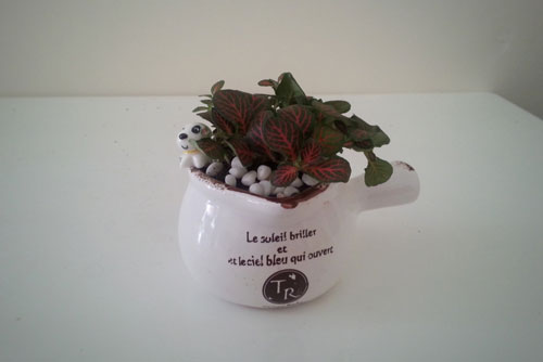 Người mệnh Thổ mà trồng cây này đảm bảo nâng cao tài vận, giàu lên trông thấy