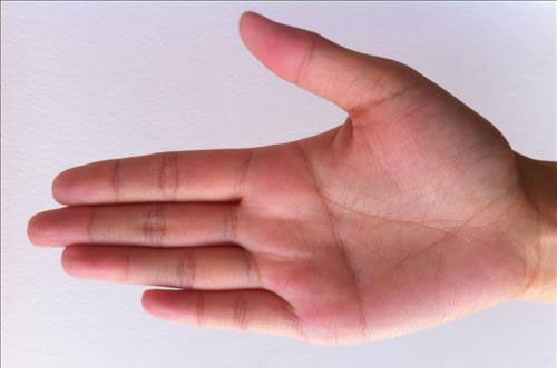 Có những đường chỉ tay này chắc chắn bạn có mệnh giàu sang, sớm muộn gì tiền cũng đầy két