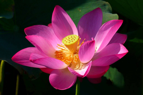 15 câu nói "phũ" như tát vào mặt nhưng giúp bạn tỉnh ngộ và sống khôn ngoan hơn