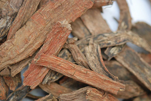 Những loại thảo dược trị bệnh tim mạch hiệu quả mà không phải ai cũng biết