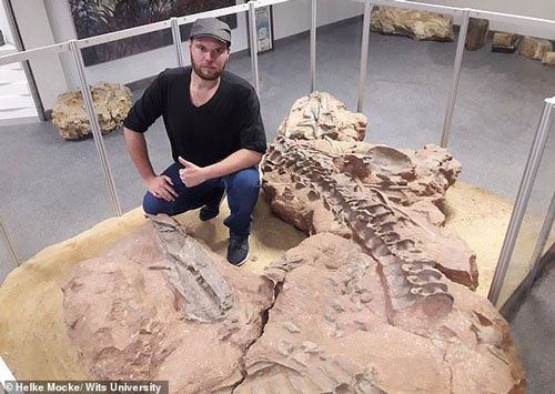 Kinh dị cá sấu quái vật chuyên ăn thịt khủng long 210 triệu năm tuổi