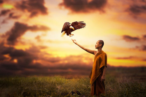 6 triết lý sống của người khôn ngoan: Đọc để thấy vì sao bản thân chưa thể sống một đời nhẹ nhàng