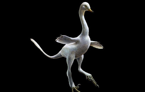 "Khủng long thiên nga" kỳ dị ở Mông Cổ