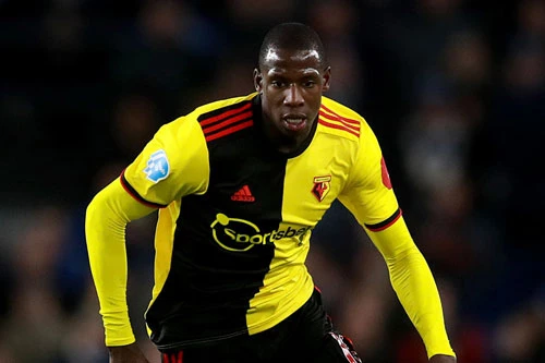 Tiền vệ trung tâm: Abdoulaye Doucoure (Watford).