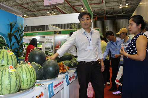 Ai làm 'nhạc trưởng' ngành hàng trái cây?