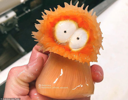 Bộ sưu tập sinh vật dưới đáy biển mới nhìn đã sợ